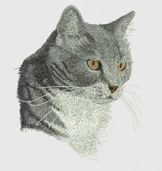 Vecta Embroidery Digitizing
